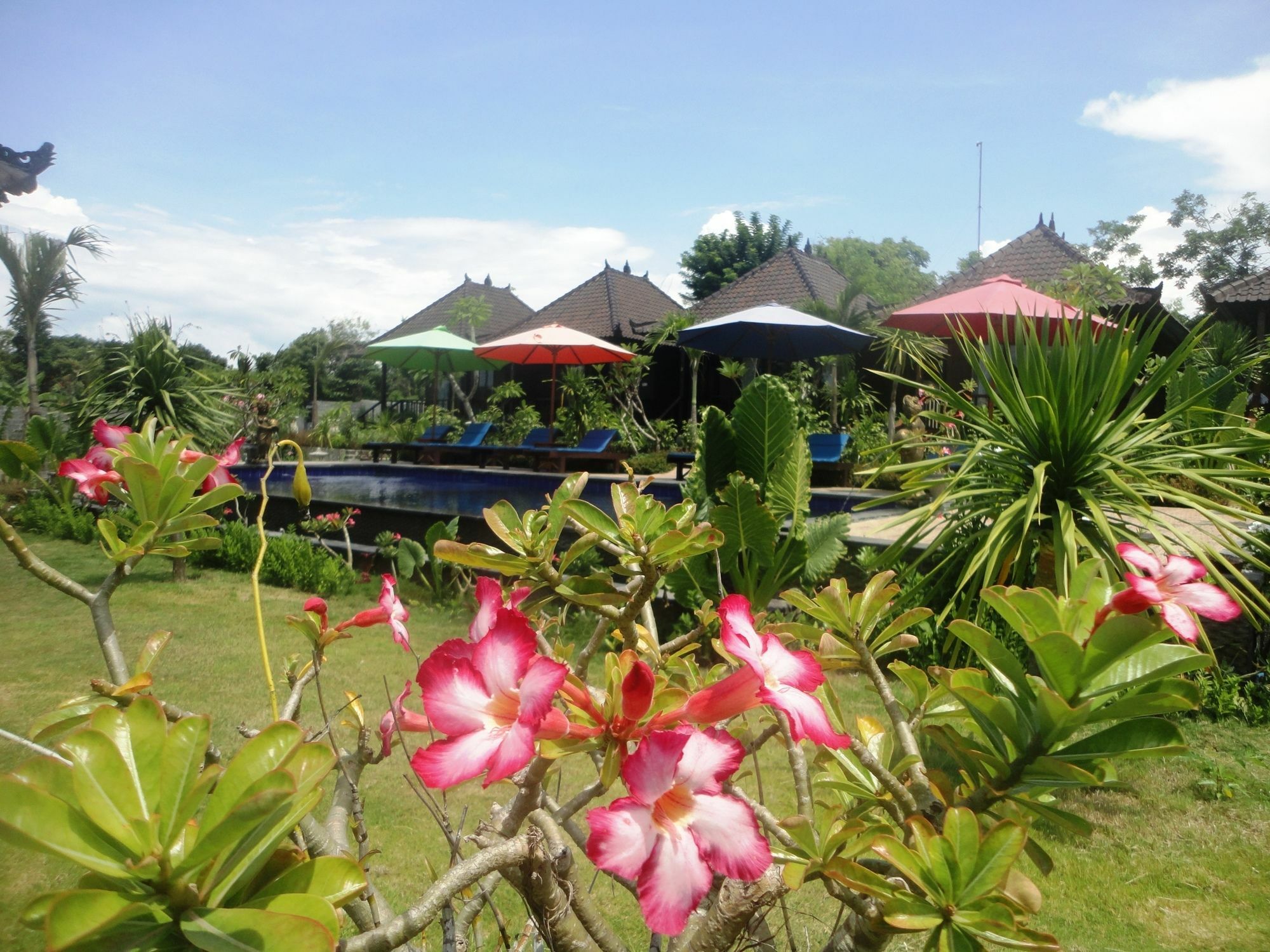 Dream Beach Berlian Lembongan Dış mekan fotoğraf